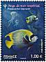 2012-04-23-ange-de-mer-imperial.jpg